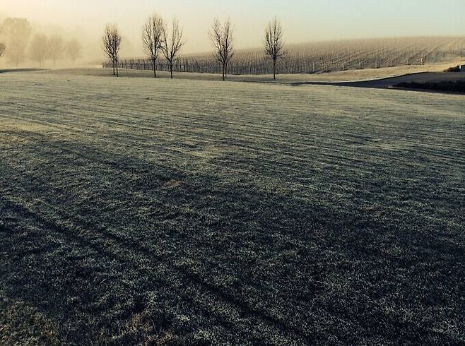 애들레이드 힐.