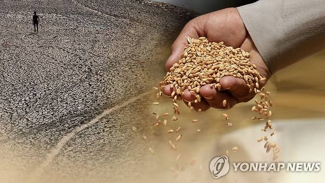 식량 부족 (CG) [연합뉴스TV 제공]