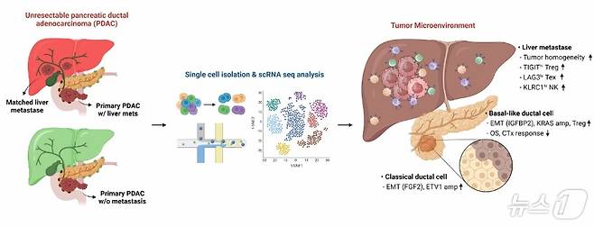 단일 세포 전사체 분석을 통해 췌장암 및 간 전이의 아형 특이적 클론 진화와 미세환경 변화를 나타내는 모식도(삼성서울병원 제공)