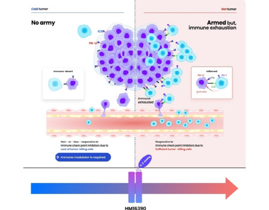 면역항암제 'HM16390' 작용 원리. 한미약품 제공.