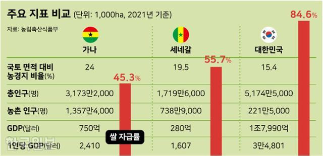 그래픽=강준구 기자