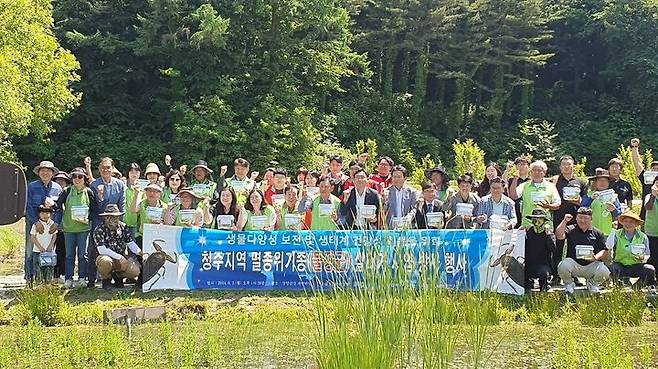 금강유역환경청이 3일 충북 청주시 상당구 산성동 144-2번지 소재 ‘상당산성 자연마당 습지’에 멸종위기 야생생물 Ⅱ급인 물장군 70개체를 방사했다.(사진=금강유역환경청 제공) *재판매 및 DB 금지