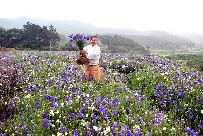 [진주=뉴시스] 장생도라지 재배지. *재판매 및 DB 금지