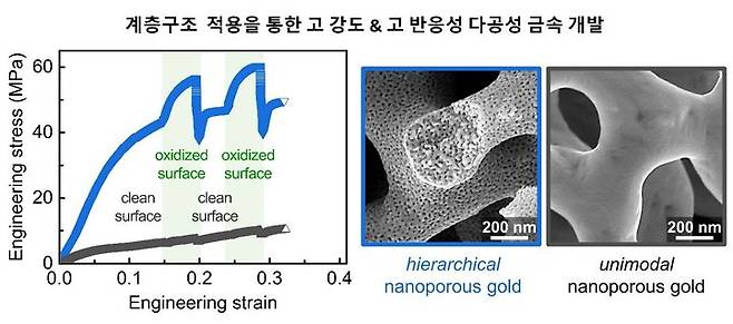 계명대, 계층구조 적용한 다공성 재료 기계적 강도 향상 국제학술지 게재 *재판매 및 DB 금지