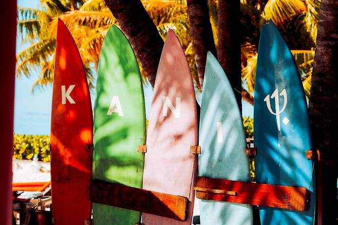 햇살을 받아 반짝이는 'KANI' 문구