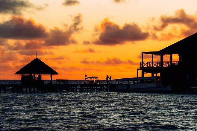 일몰 30분 전. 카니가 가장 빛나는 시간