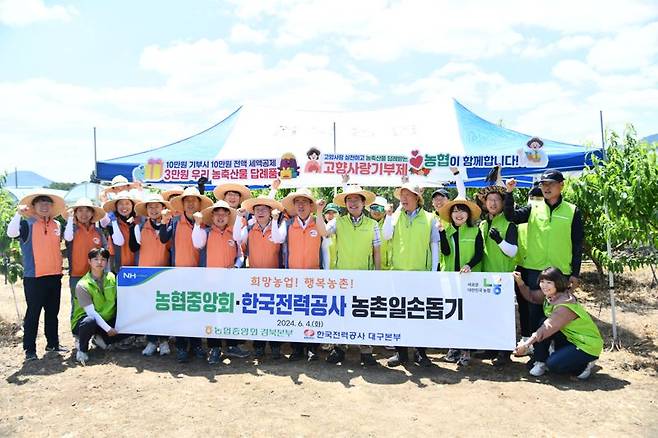 농협중앙회 경북본부와 한국전력 대구본부가 지난 4일 'Green E모작' 3차 년도 공동사업 업무협약을 체결한 뒤 경산시 남방동 샤인머스켓 농가를 찾아 일손을 도왔다. 경북농협 제공