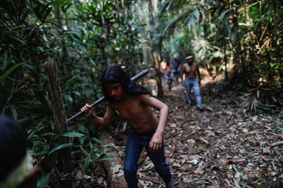 브라질 후마이타 아마조나스 주 인근 아마존 열대우림 내 경계가 불명확한 원주민 땅의 삼림 벌채 지역을 걷고 있는 원주민 무라족. 기사 이해를 돕기 위한 자료사진. 로이터=연합뉴스
