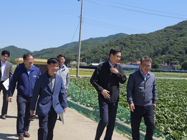 ▲한훈 농림축산식품부 차관이 지난 4일 문경시 농암면 갈동리에 위치한 배추 생산 현장을 찾아 봄배추 작황을 점검하는 모습.ⓒ문경시