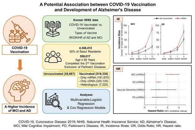 고대 안암병원 신경과 노지훈 교수 연구팀은 국민건강보험공단 빅데이터에 등재된 65세 이상 도시 거주자 55만8천17명을 대상으로 후향적 코호트(역학조사) 연구를 한 결과, 코로나19 백신 접종이 알츠하이머 발생 위험을 높이는 연관성이 관찰됐다고 밝혔다.[논문 발췌]