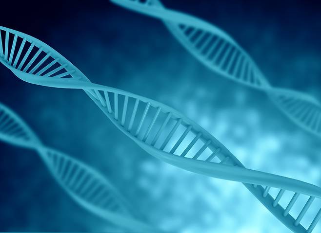 사진= 클립아트코리아