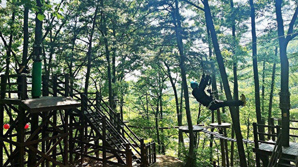 태조산산림레포츠시설 짚코스터 [사진=천안도시공사]