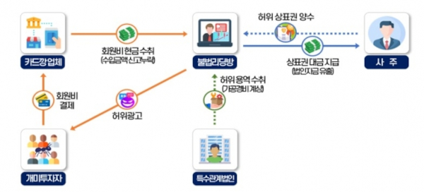 불법 리딩방 탈세 사례. 자료 국세청