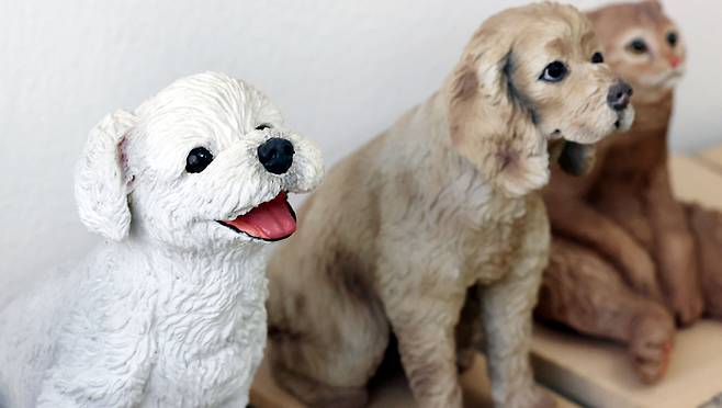 말티즈, 코커스페니얼