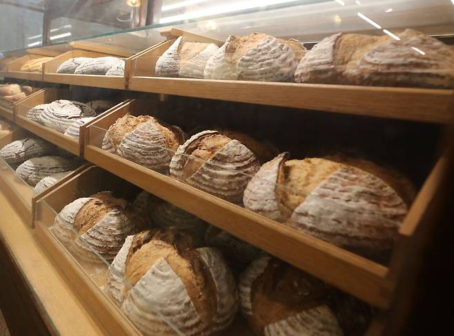 빵집 자료사진. 기사 내용과 직접적 연관 없음. /뉴스1