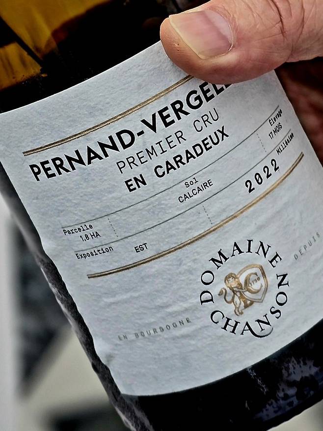 페르낭 베르즐레스 프리미에 크뤼 엉 카라두. 최현태 기자