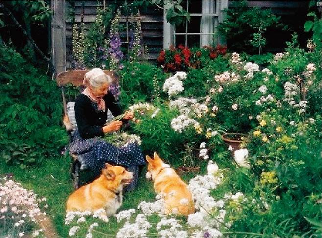 미국을 대표하는 동화작가로 불리는 타샤 튜더는 30만 평의 대지에 정원을 일군 가드닝의 대가로 알려져 있다. 자연주의 삶의 아이콘으로서 ‘타샤 튜더 나의 정원’ ‘비밀의 화원’ 등을 출간했다.
