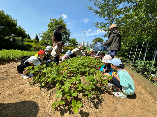 당진시농업기술센터에서 교육하고 있는 2024 어린이 농부학교가 큰 호응을 얻고 있다. 사진=당진시 제공.