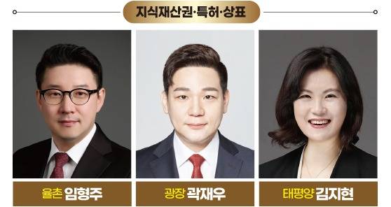 그래픽=송영 기자