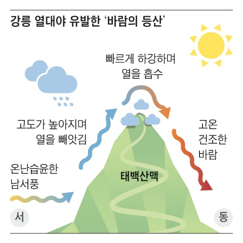 그래픽=백형선