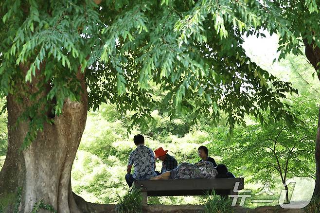 12일 광주와 전남 일부지역에 폭염주의보가 내려진 가운데 담양 관방제림에 더위를 피해 산책나온 군민과 관광객들이 휴식을 취하고 있다. 2024.6.12/뉴스1 ⓒ News1 김태성 기자