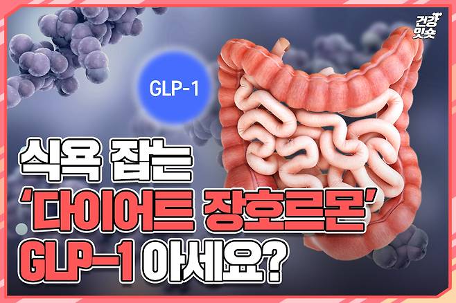 헬스조선 DB