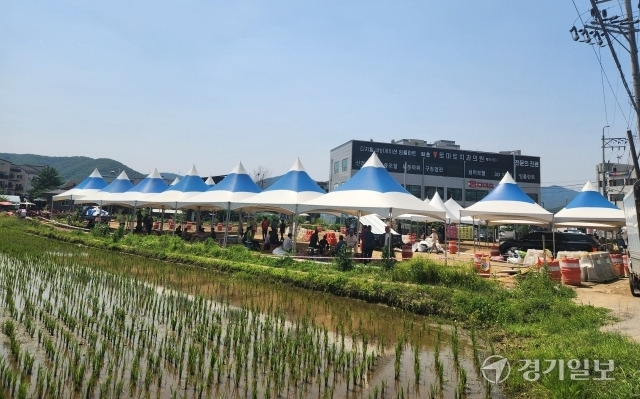 광주시 퇴촌면 광동로 퇴촌토마토축제 행사장 인근에 장애인단체가 설치한 천막. 한상훈기자
