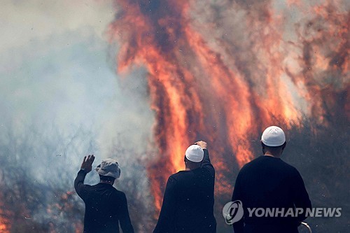 헤즈볼라의 공격으로 불타는 들판을 바라보는 골란고원의 주민들 [AFP 연합뉴스 자료사진. 재판매 및 DB 금지]