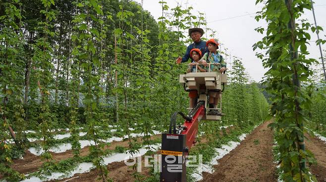 홉 열매를 따는 데 쓰는 고소작업차를 체험하는 아이들과 연충흠 하이디치유농원 대표