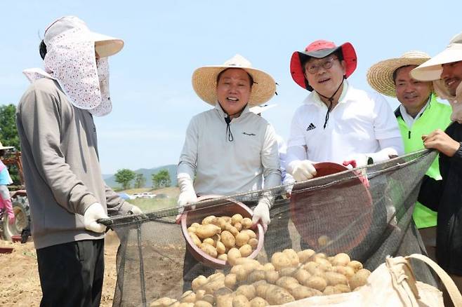 박완수 경남도지사(가운데)와 홍태용 김해시장이 수확한 감자를 보이고 있다. [사진제공=경남도청]