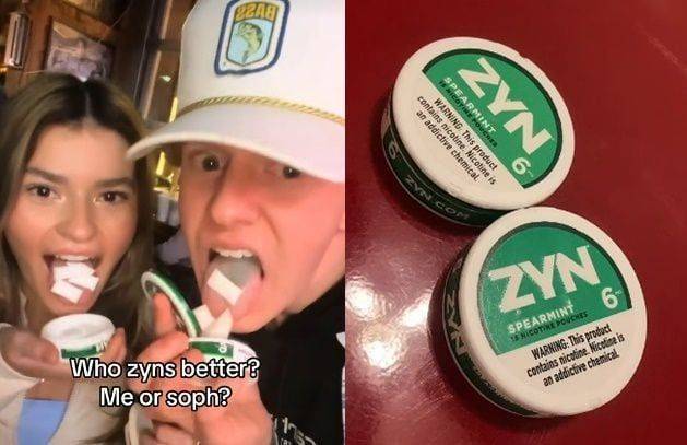 미국에서 MZ세대 사이에 '잇몸 담배'로 불리는 '진(ZYN)'이 인기를 끌고 있다. 짧은 동영상 공유 플랫폼 틱톡을 중심으로 유행하고 있는 이 제품은 담배 연기를 빨아들이는 대신 니코틴을 직접 잇몸에 붙여 흡수하는 방식이다. [이미지출처=틱톡 캡처]