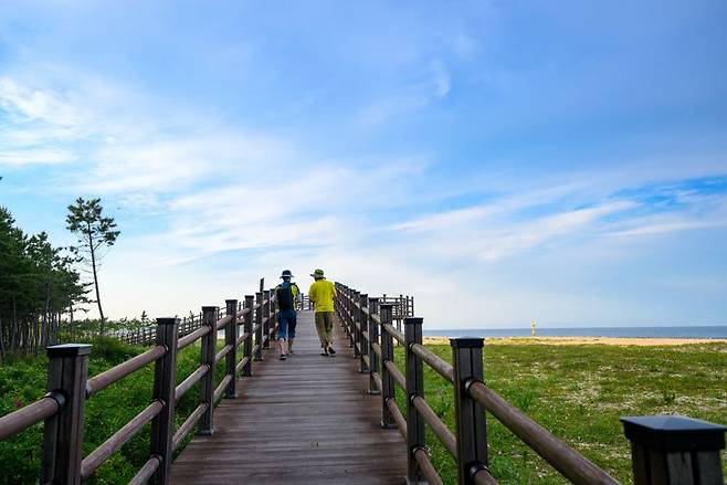 울진 구산해변으로 이어진 탐방로.