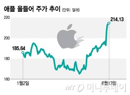 애플 올들어 주가 추이/그래픽=김지영