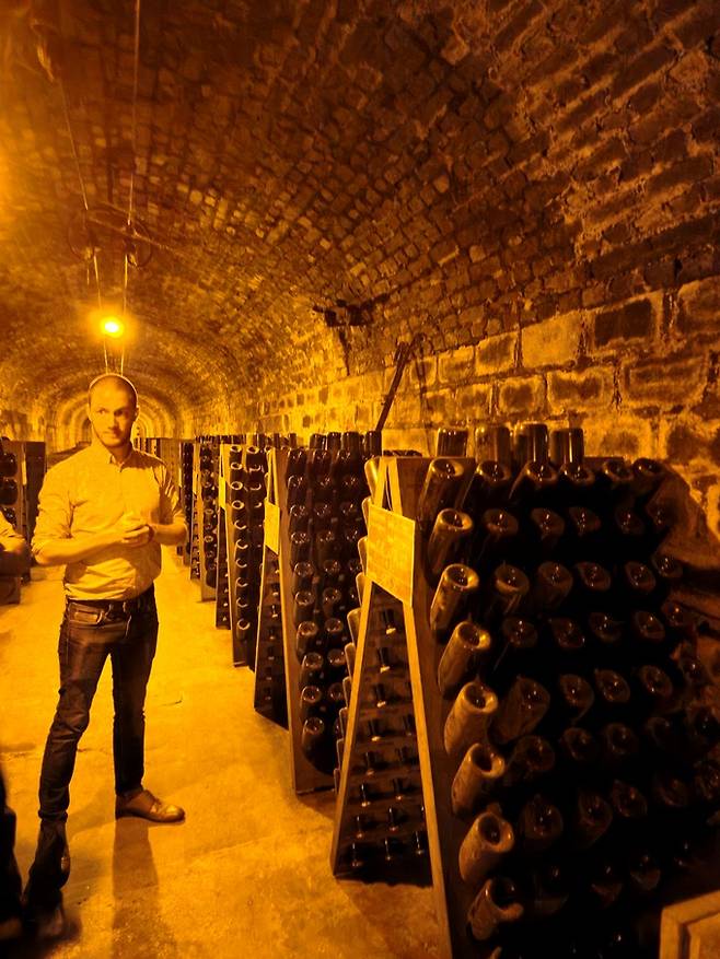 롬바흐 셀러에서 숙성중인 샴페인. 최현태 기자