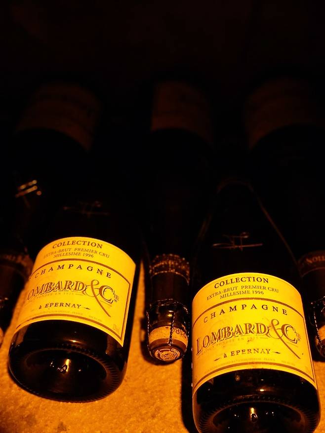 셀러에 보관중이 롬바흐 샴페인 1996 빈티지. 최현태 기자