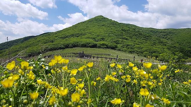 강원 인제군 점봉산 곰배령  [산림청 제공. 재판매 및 DB 금지]