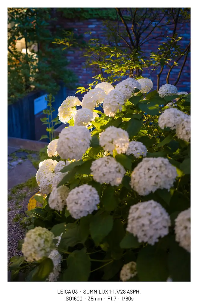 viewimage.php?id=29b4d72ff1d334b667bcc2a004d4&no=24b0d769e1d32ca73fe980fa11d028315d554368bac55d95d5bf54b6a5802c0f8e5e7ec3997de4fac4c7c4913b4c7268f2b521e72db2b7a2501324b67c8cbfb97eaeb7c478ed