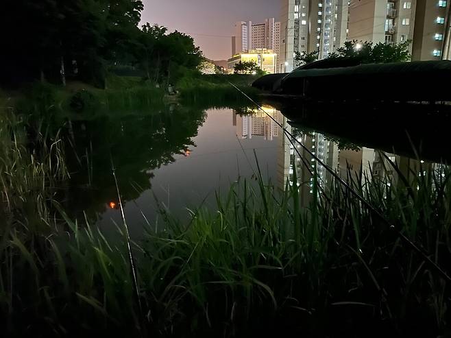 이사 온 아파트 옆에서 발견한 조그만 낚시터의 밤 풍경. 붕어 낚시를 처음 배운 초등학교 시절로 돌아간 느낌이었다.