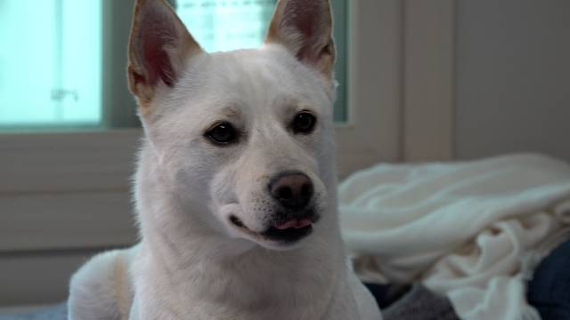 지난 2일 오후 개st하우스팀이 경기도 안산에 있는 떡국이네 집을 방문해 보호자 박찬규씨와 이총씨를 만났다. 최민석 기자
