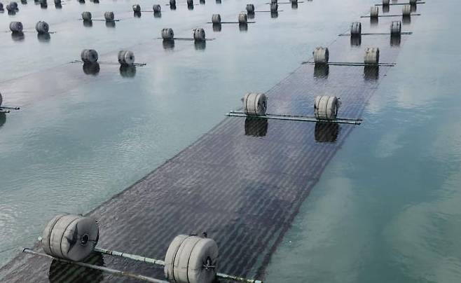 A fish farm in the sea in Jeonnam. Courtesy of Jeollanam-do Province