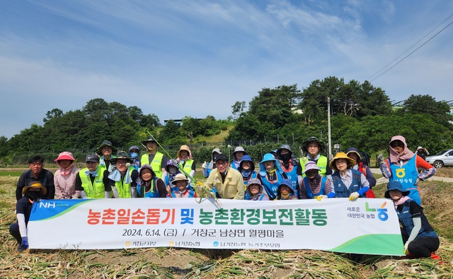 NH농협 경남 거창군지부와 남거창농협, 농가주부모임은 14일 남상면 월평마을에서농촌일손돕기를 하고 있다.