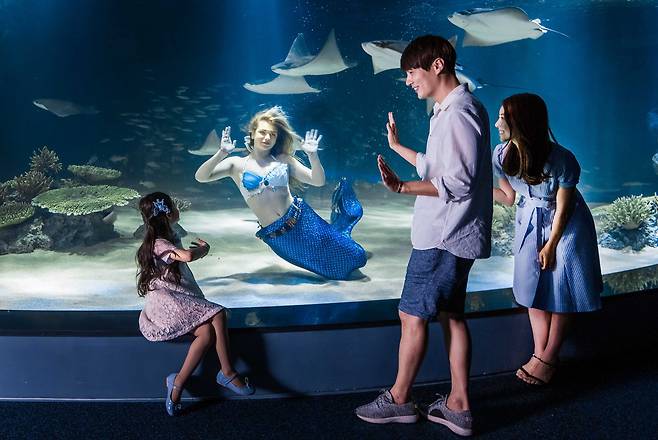 아쿠아플라넷63에서 가족들이 인어공주를 바라보며 좋아하고 있다. /아쿠아플라넷63
