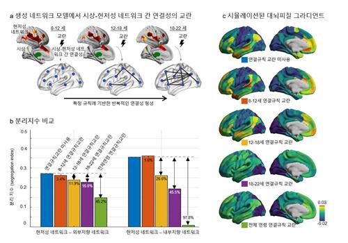 뇌의 '현저성 영역' 교란 시뮬레이션  [IBS 제공. 재판매 및 DB 금지]