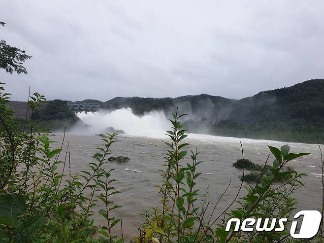 수문을 개방한 용담댐. 2020.8.8/뉴스1 ⓒ News1 김동규 기자