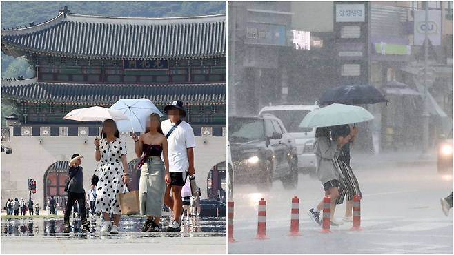 20일 서울 광화문 인근에서 시민들이 우산으로 햇볕을 막는 모습(왼쪽), 같은 날 제주도 호우경보가 내려 우산을 쓴 시민들./뉴시스·연합뉴스