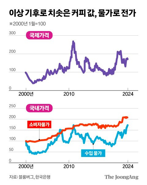 김영희 디자이너