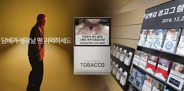 연합뉴스TV 제공