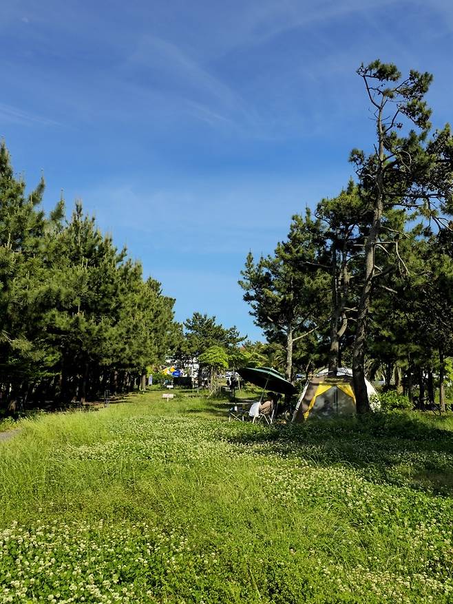 표선해변 캠핑장.