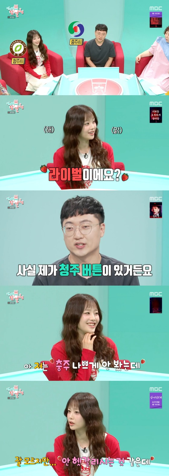 MBC '전지적 참견 시점' 방송 화면 캡처