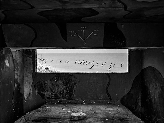 연평도 벙커에서 본 상륙 방지 장애물/ 사진가 박종우